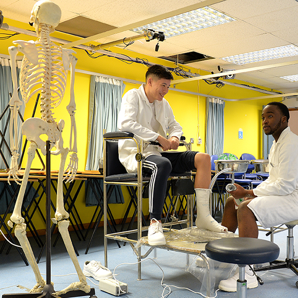 Two male students work in biomedical engineering department alongside a skeleton.