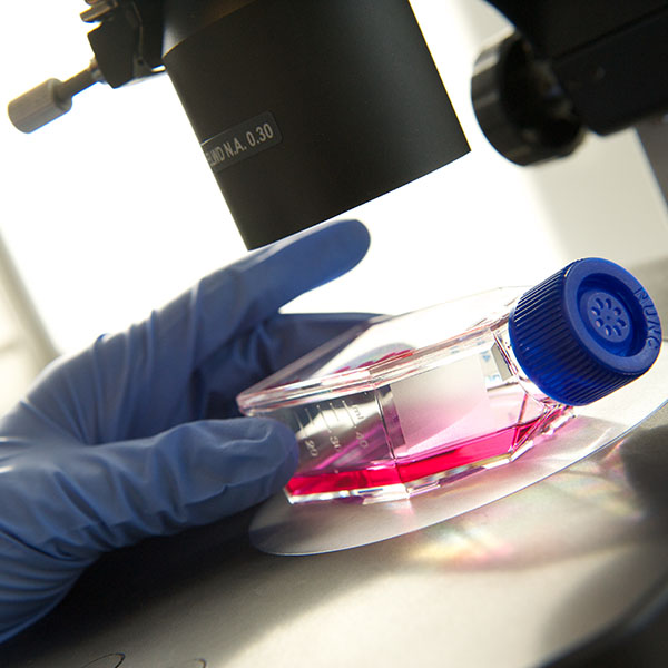 Gloved hand holding bottle with red liquid under microscope