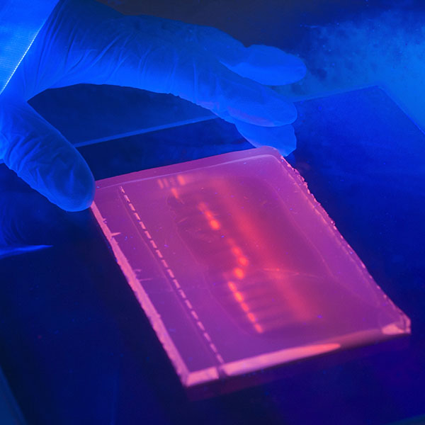 Laboratory ultraviolet light box during electrophoresis for detection of DNA