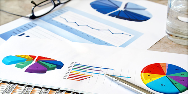 Investment Pie Charts 