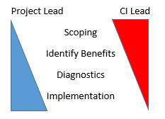 Graph depicting the roles of the project lead and CI lead