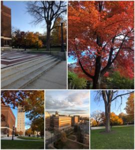 A collage of photos from University of Michigan