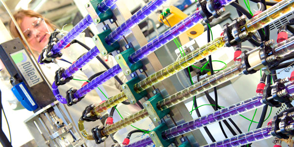 a researcher working with large tubes full or purple and yellow liquids in a science lab