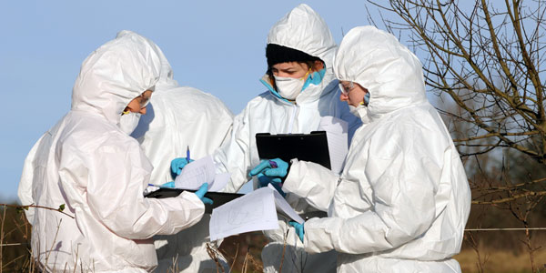 Four Forensic Science students out in the field, wearing white full-body suits, holding clipboards, discussing their case
