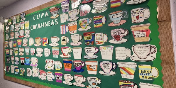 Wall display of drawings of cups with Gaelic writing on them