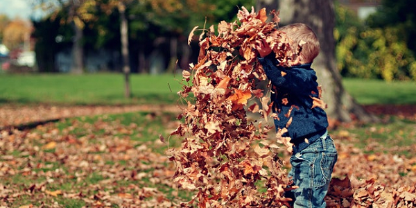 Child playing in autumn leaves