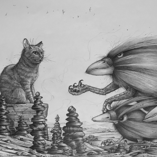 Line drawing of cat, raven and stones in black and white