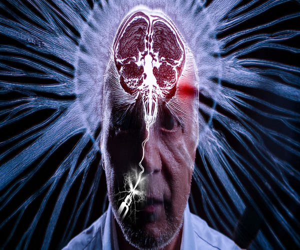 Male head with brain hgihlighted