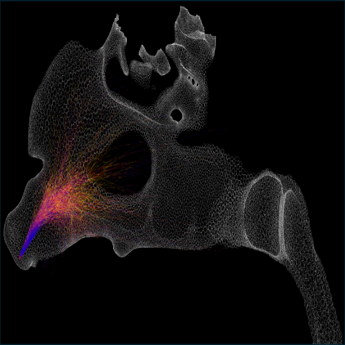 Black background depicting nasal sprays