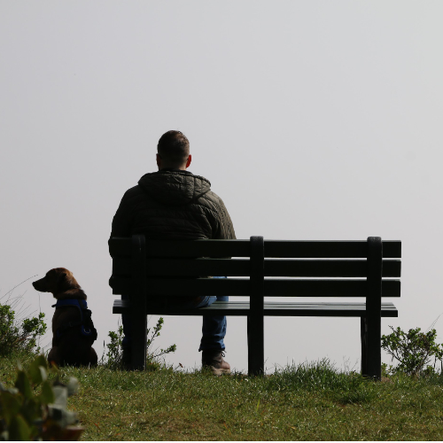 A photograph of a man sitting on a bench looking into the distance and a dog beside the bench looking to the left.  Image is taken from behind