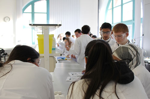 School pupils wearing lab coats and safety glasses work on experiments in the lab