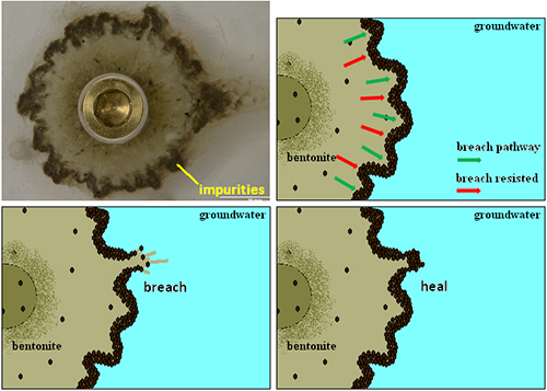 Bentonite swelling into water but being contained behind a ring of (darker) impurities