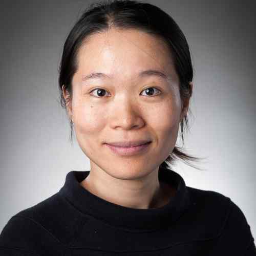 Professor Min Zhang