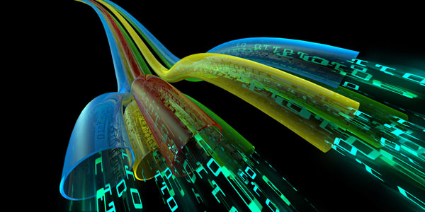 colourful network cables transmitting information