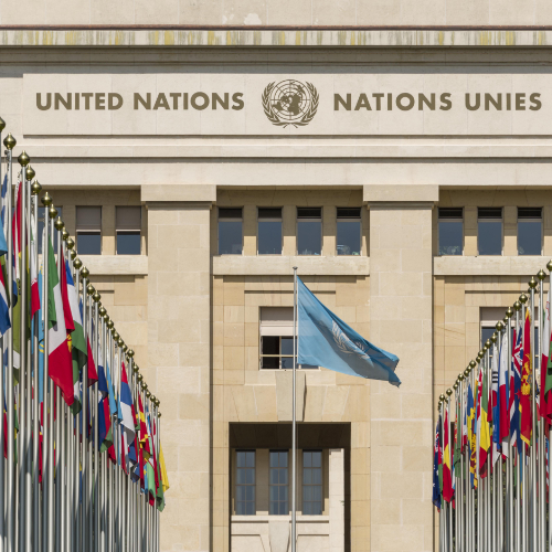 Flags lining the entrance to the United Nations building