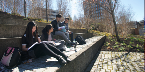 Four students sitting outside on a sunny day