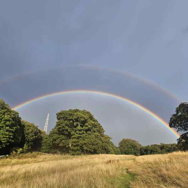 Photo of a double rainbow above some trees in a field