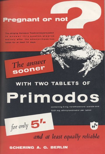 Primodos Poster for HPTs
