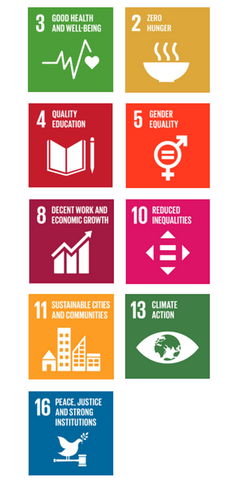 7 Sustainable Development Goals for PAH