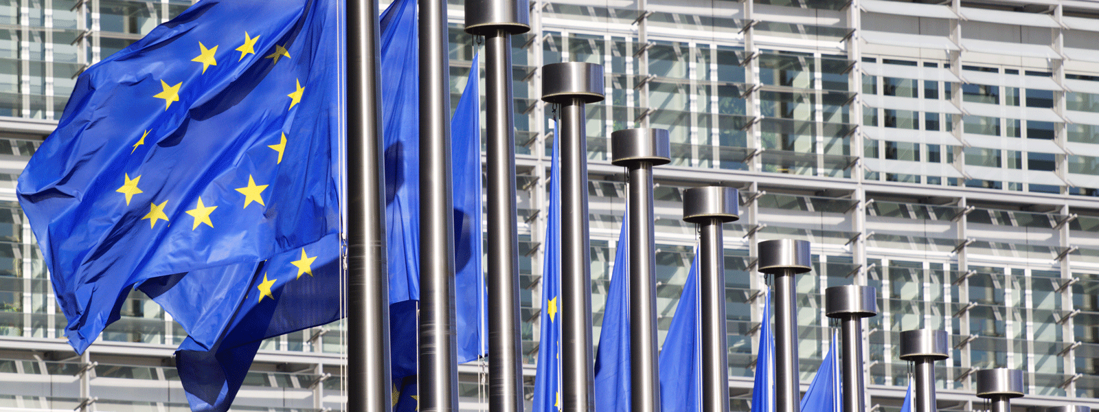 european parliament flags