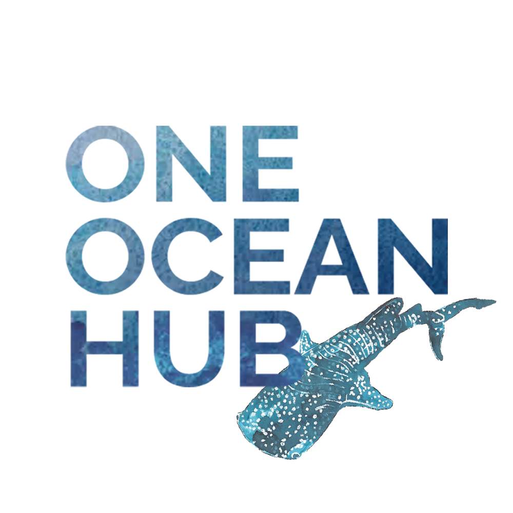One Ocean Hub