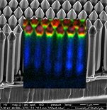 CL_Nanorods