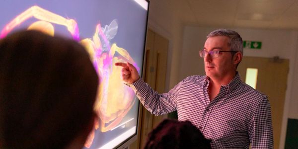 Teacher explaining image on board to students Teacher explaining image on board to students