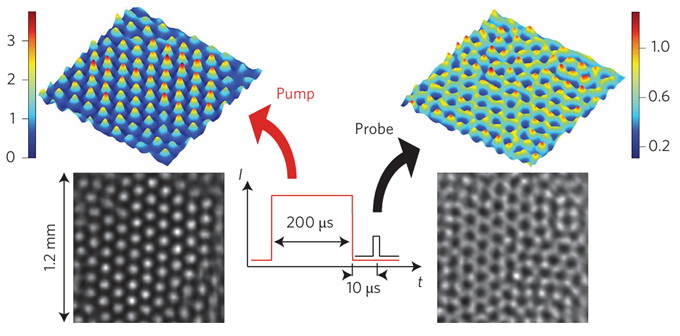 Experimental results of self-structuring of light (left) and atoms (right) Experimental results of self-structuring of light (left) and atoms (right)