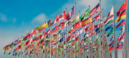 UN flags flying against a blue sky