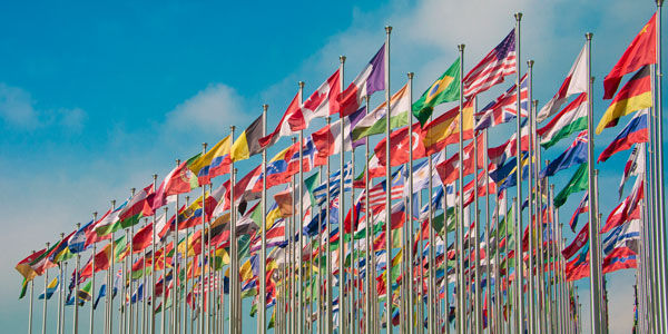 United Nations flags flying against a blue sky