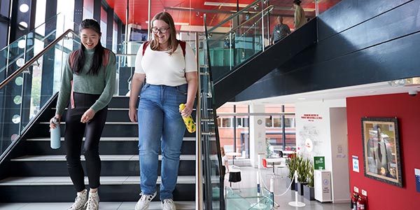 Two students walking down stairs.