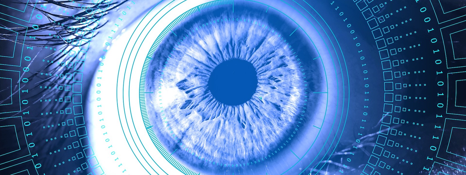 eye with overlay of data