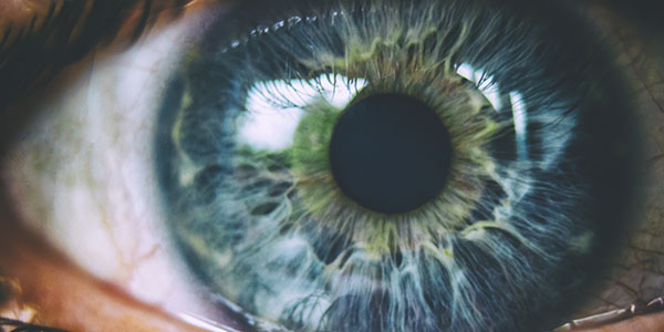 Close up of an eye