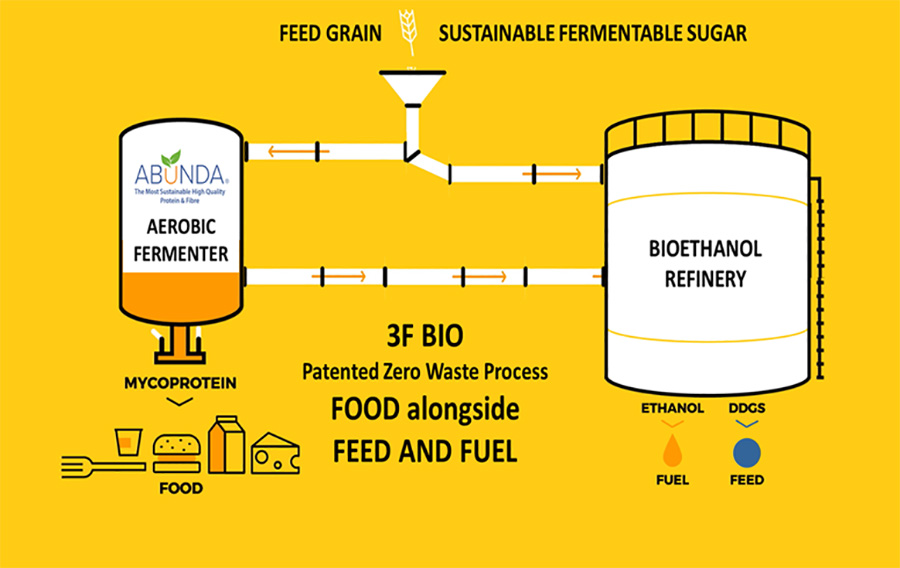 Diagram showcasing the process or creating sustainable protein 