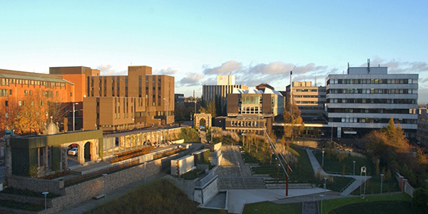 Campus in evening