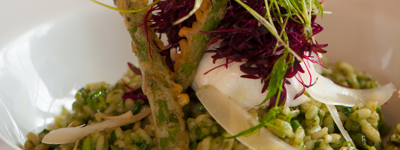 Garden Herb Risotto, Tempura Vegetables, Soft Poached Egg and a Drizzle of Truffle Oil