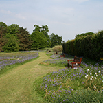 Meadow at Ross Priory, overlooking Loch Lomond. Photograph courtesy of R Maskill.