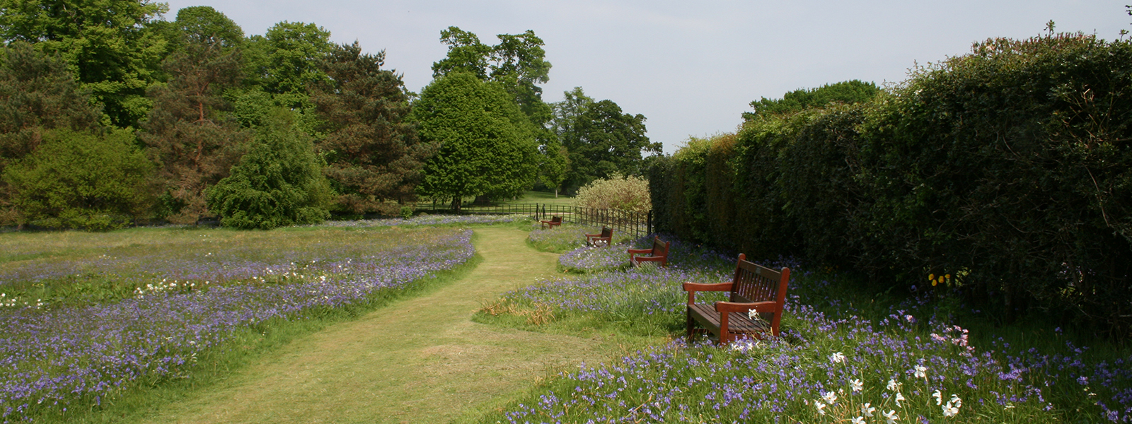 Meadow at Ross Priory, overlooking Loch Lomond. Photograph courtesy of R Maskill.