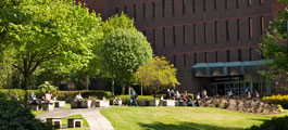 Campus and library in the sunshine