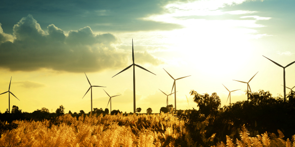 Wind turbines at sunset