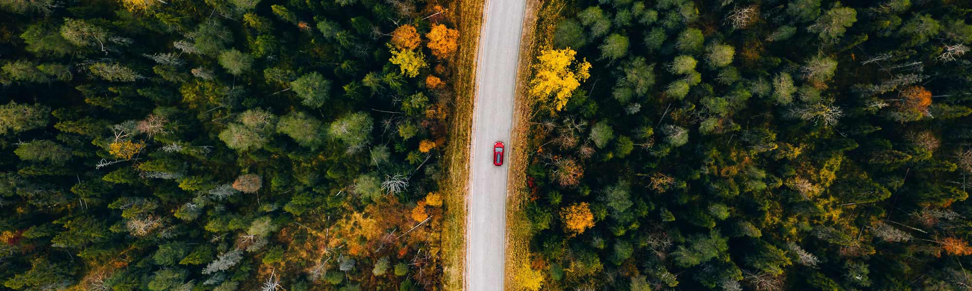 Aerial view of rural road in yellow and orange autumn forest