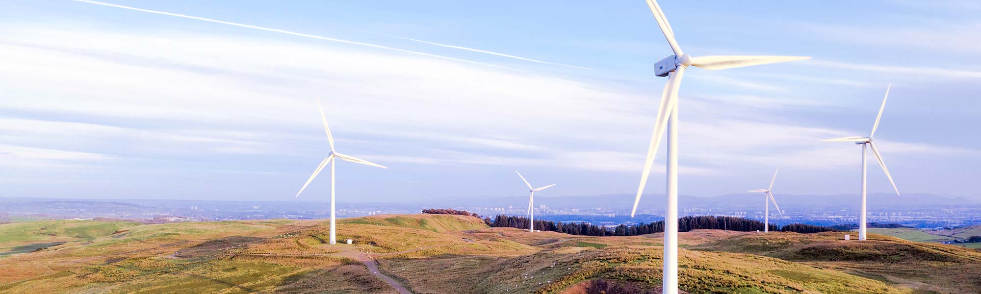 Wind farm.