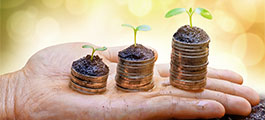 Hand holding three piles of coins