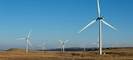 Turbines at wind farm