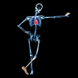 Biomedical Engineering - Skeleton 