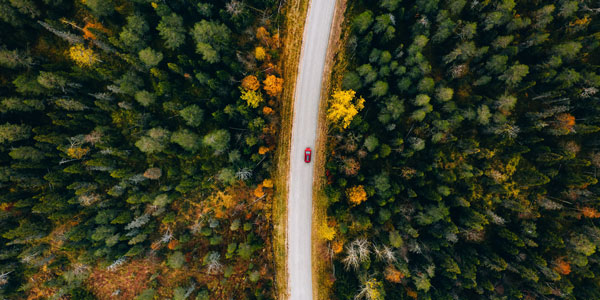 an aerial view of a car driving on a winding road with autumnal trees on either side