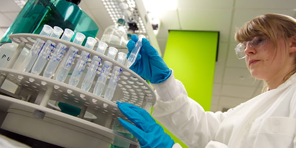 Researcher working in a science lab Researcher working in a science lab