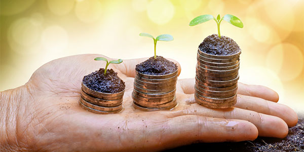 Hands holding trees growing on three piles of coins