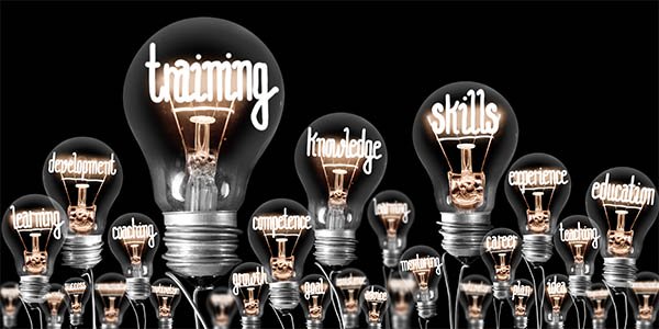 Lightbulbs with words lit up: training, development, knowledge, skills, experience, education, competence.