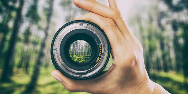 a person holds a lens up to a forrest